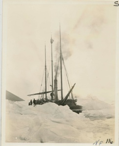 Image of S.S. Roosevelt in the pack